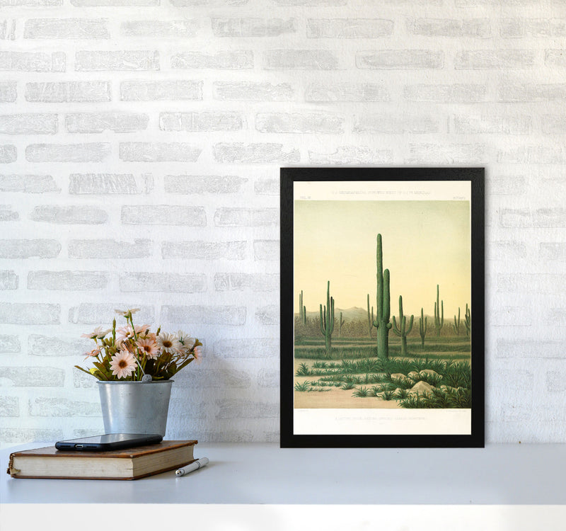 Vintage Desert Cactus Art Print by Jason Stanley A3 White Frame