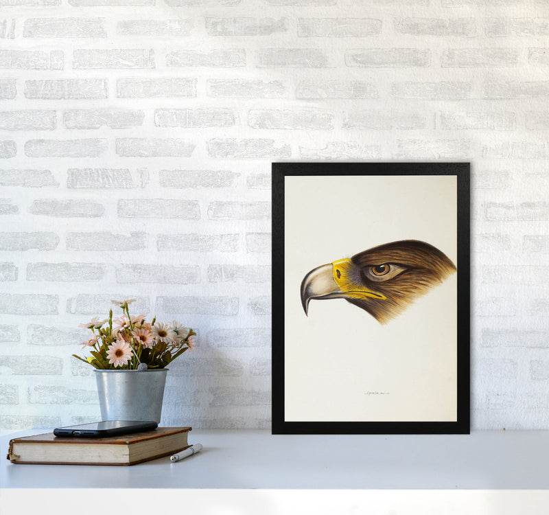 Vintage Eagle Face Art Print by Jason Stanley A3 White Frame