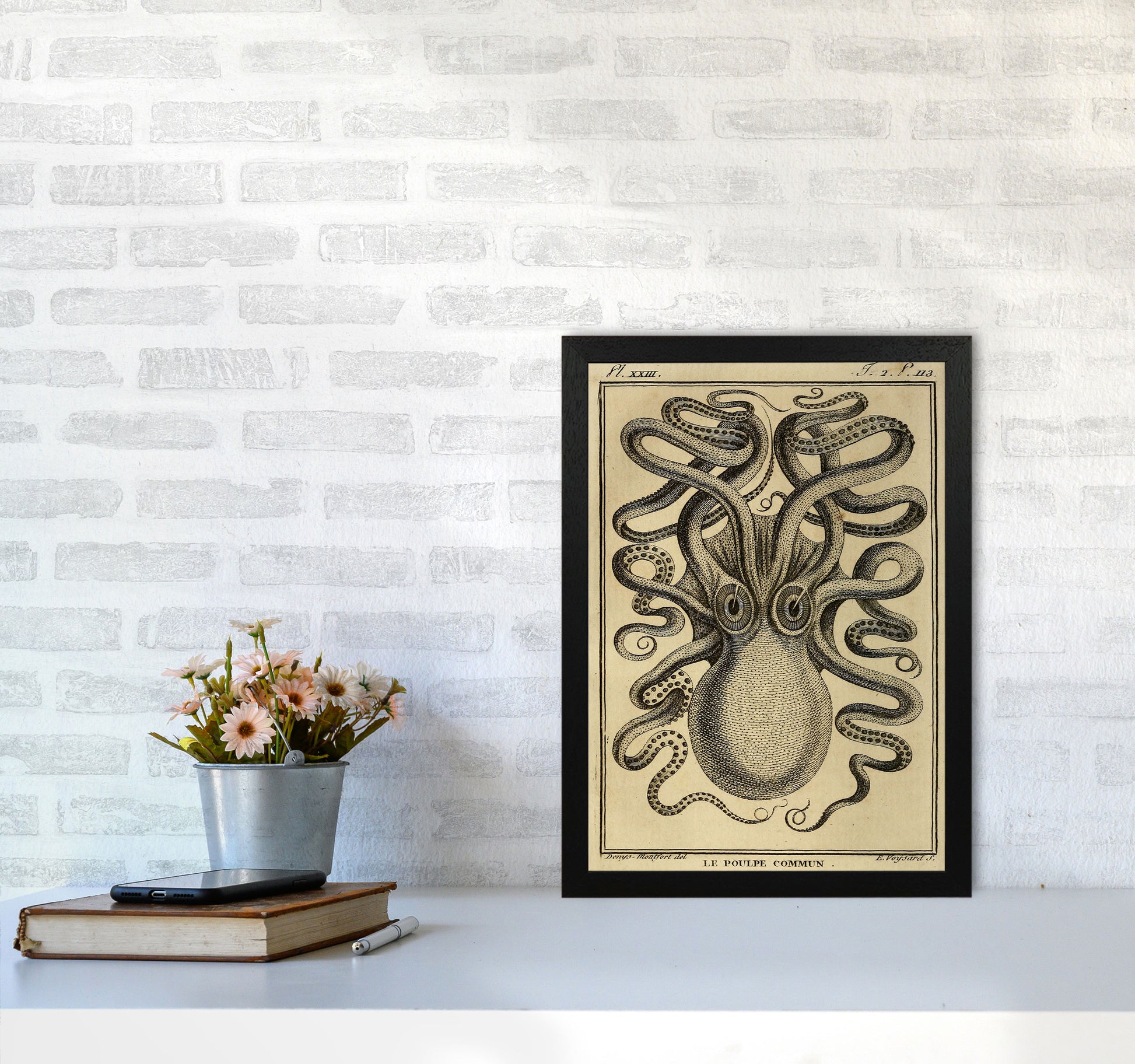 Vintage Octopus 2 Art Print by Jason Stanley A3 White Frame