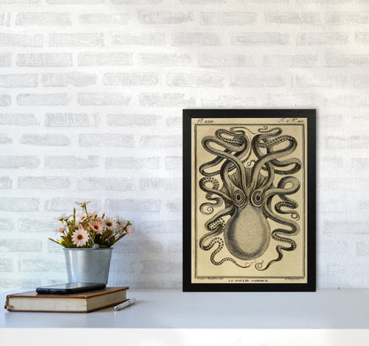 Vintage Octopus 2 Art Print by Jason Stanley A3 White Frame