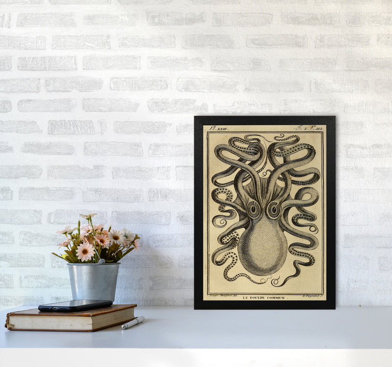 Vintage Octopus 2 Art Print by Jason Stanley A3 White Frame