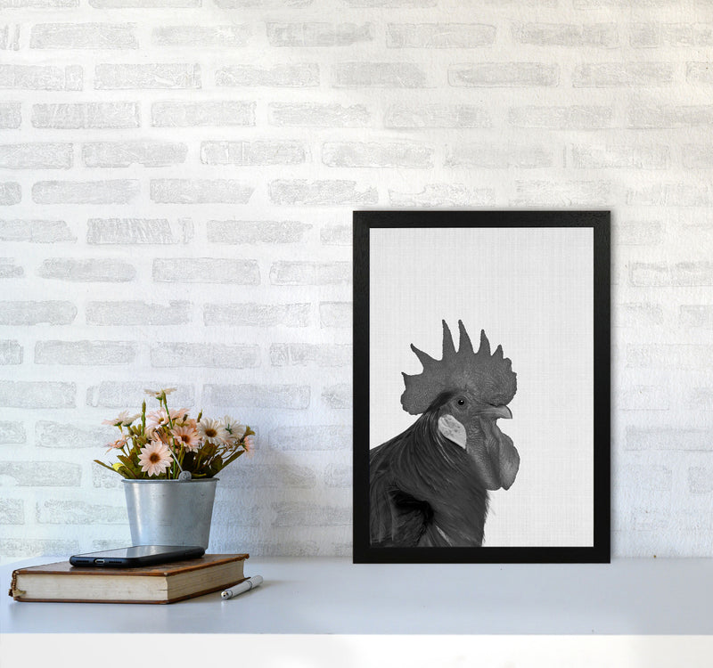 Cock A Doodle Doo Art Print by Jason Stanley A3 White Frame