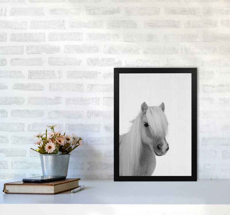 Stay Gold Pony Boy Art Print by Jason Stanley A3 White Frame