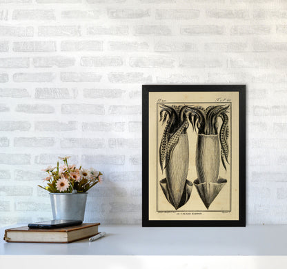 Vintage Squid 5 Art Print by Jason Stanley A3 White Frame