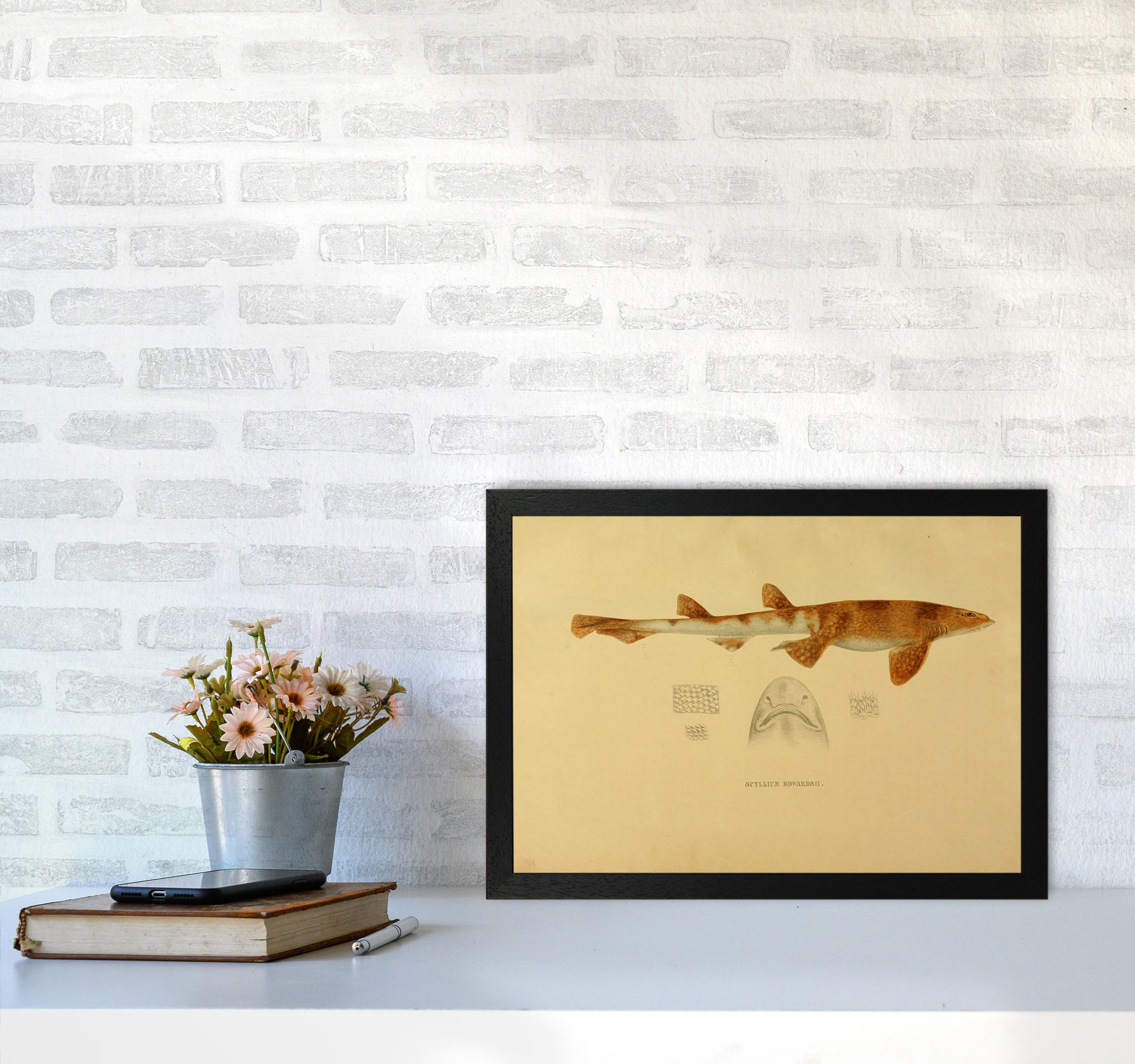 Shark Series 1 Art Print by Jason Stanley A3 White Frame