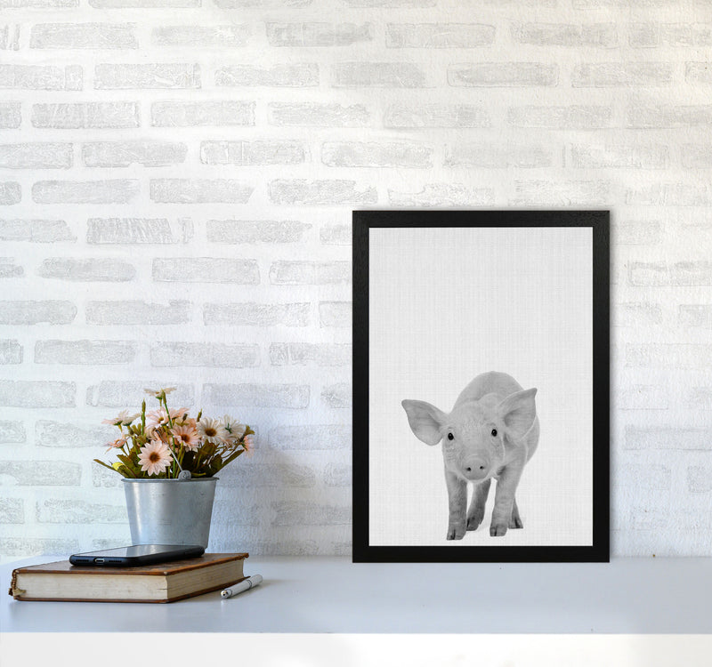 The Cutest Pig Art Print by Jason Stanley A3 White Frame