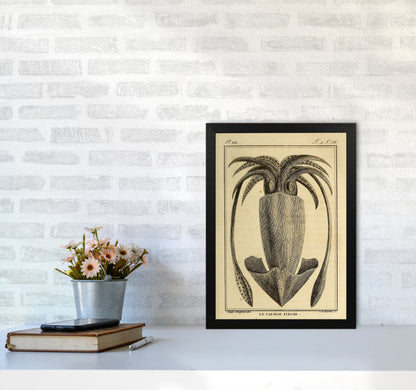 Vintage Squid 2 Art Print by Jason Stanley A3 White Frame