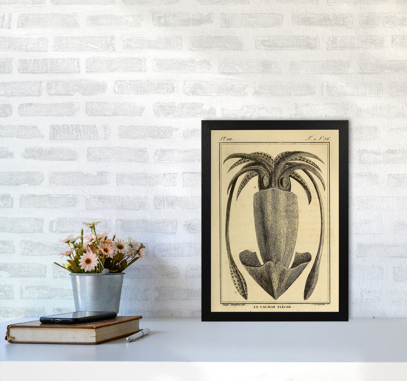 Vintage Squid 2 Art Print by Jason Stanley A3 White Frame