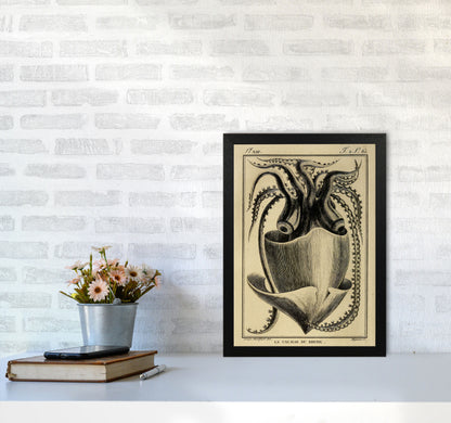 Vintage Squid Art Print by Jason Stanley A3 White Frame