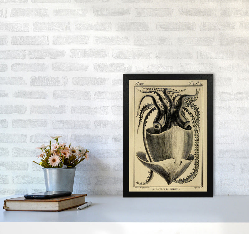 Vintage Squid Art Print by Jason Stanley A3 White Frame
