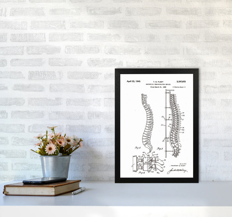 Anatomical Spine Display Patent Art Print by Jason Stanley A3 White Frame