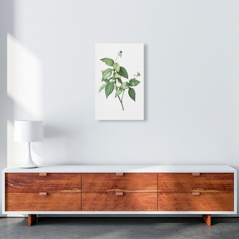 Vintage Botanical Plant Art Print by Jason Stanley A3 Canvas