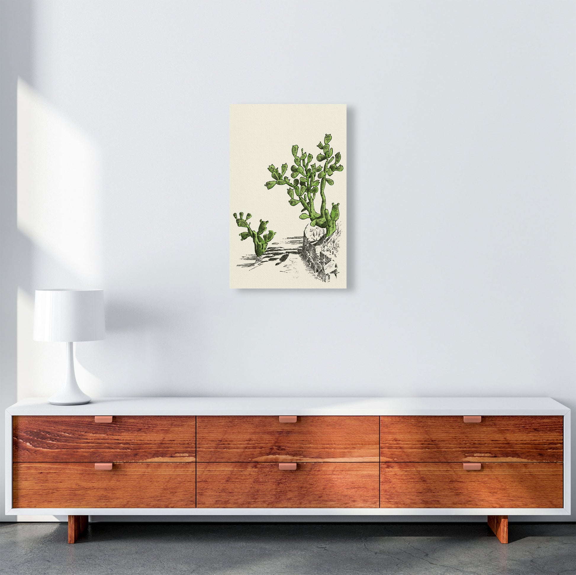 Prickly Pear Cactus Art Print by Jason Stanley A3 Canvas