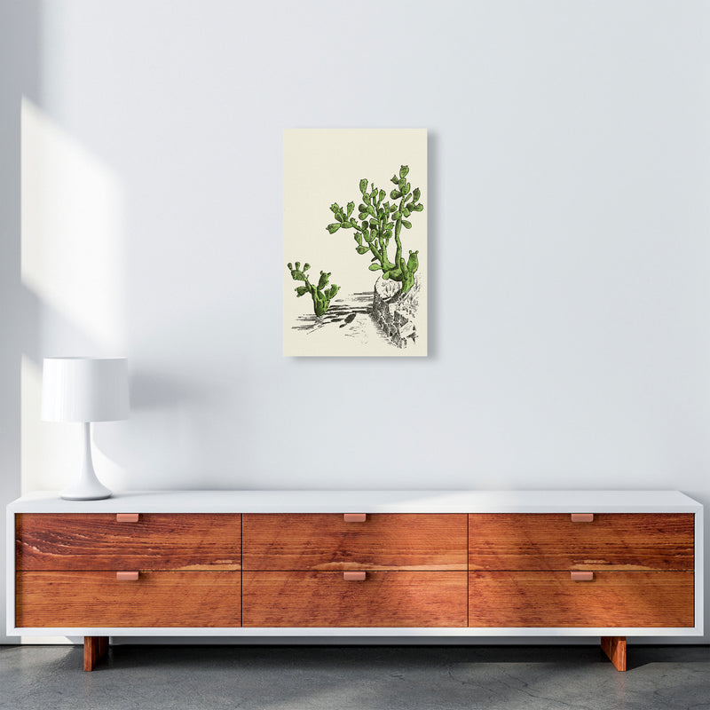 Prickly Pear Cactus Art Print by Jason Stanley A3 Canvas