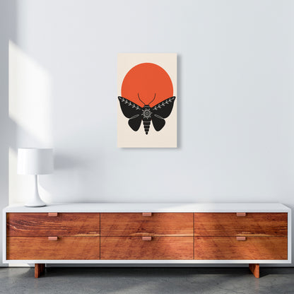 Sunshine Moth Art Print by Jason Stanley A3 Canvas