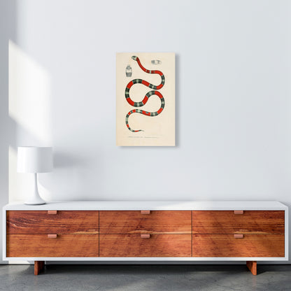 Vintage Snake Illustration 2 Art Print by Jason Stanley A3 Canvas