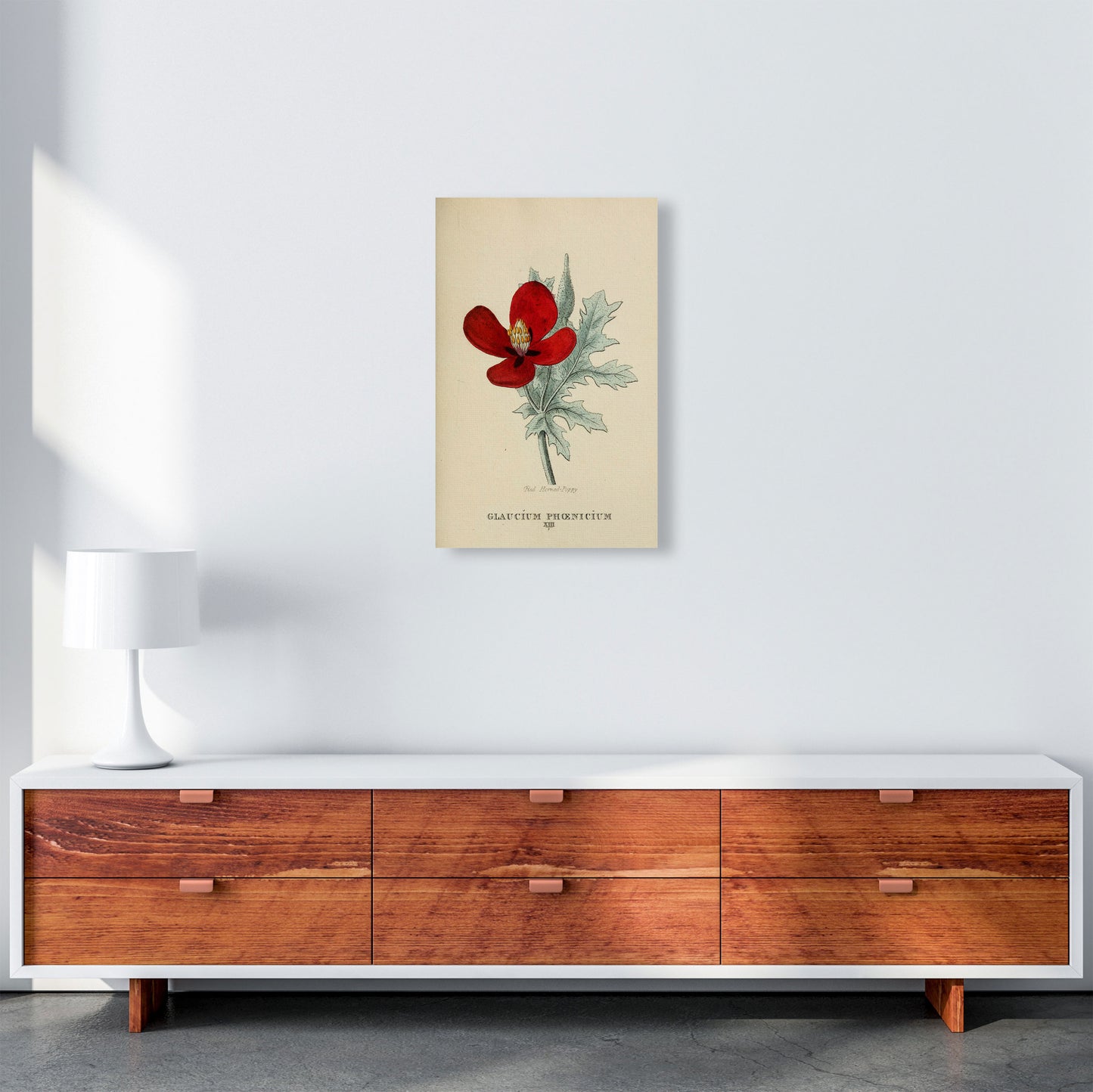 Vintage Flower Series 2 Art Print by Jason Stanley A3 Canvas