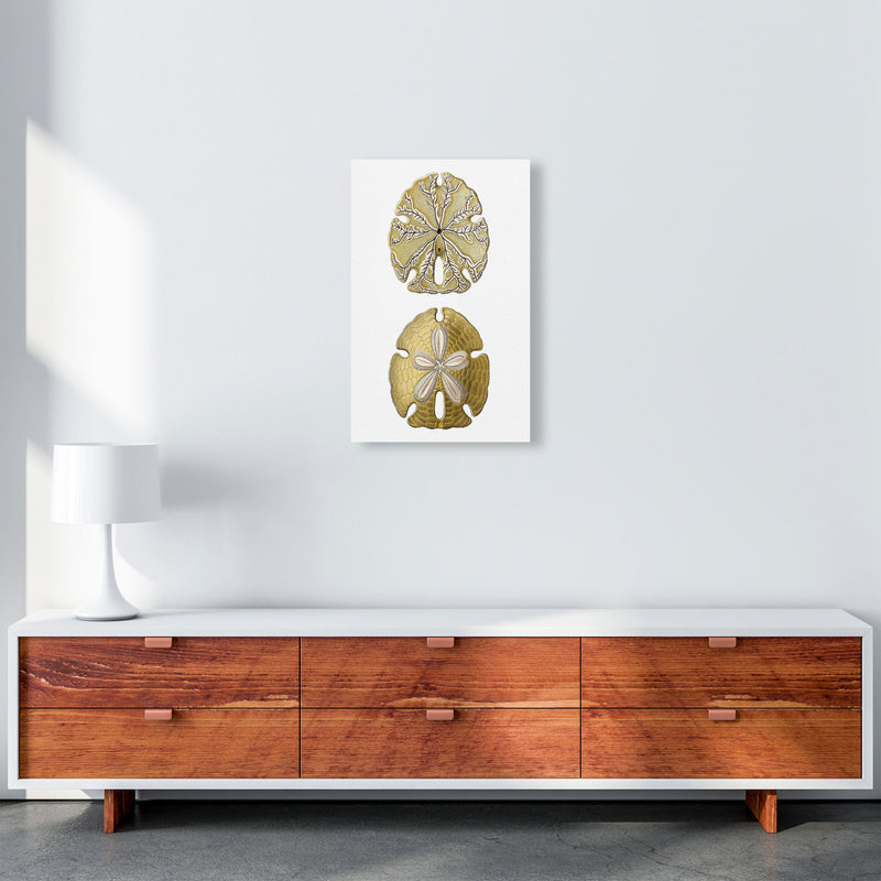 Sand Dollar Illustration Art Print by Jason Stanley A3 Canvas
