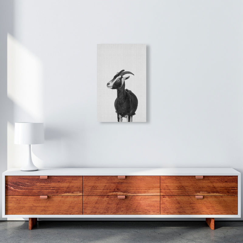 This Goat Takes The Cake Art Print by Jason Stanley A3 Canvas