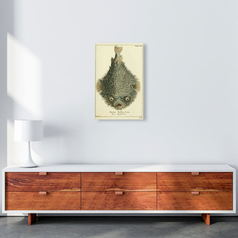 Vintage Japanese Fish Art Print by Jason Stanley A3 Canvas
