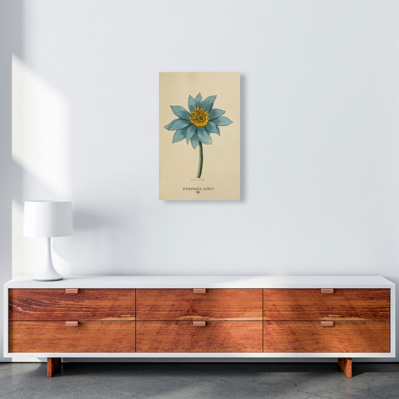 Vintage Lotus Flower Art Print by Jason Stanley A3 Canvas