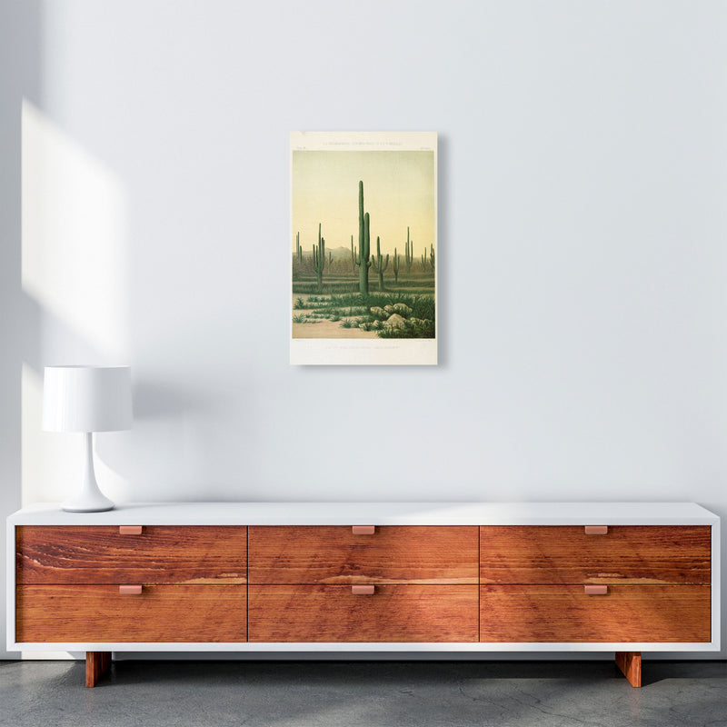 Vintage Desert Cactus Art Print by Jason Stanley A3 Canvas