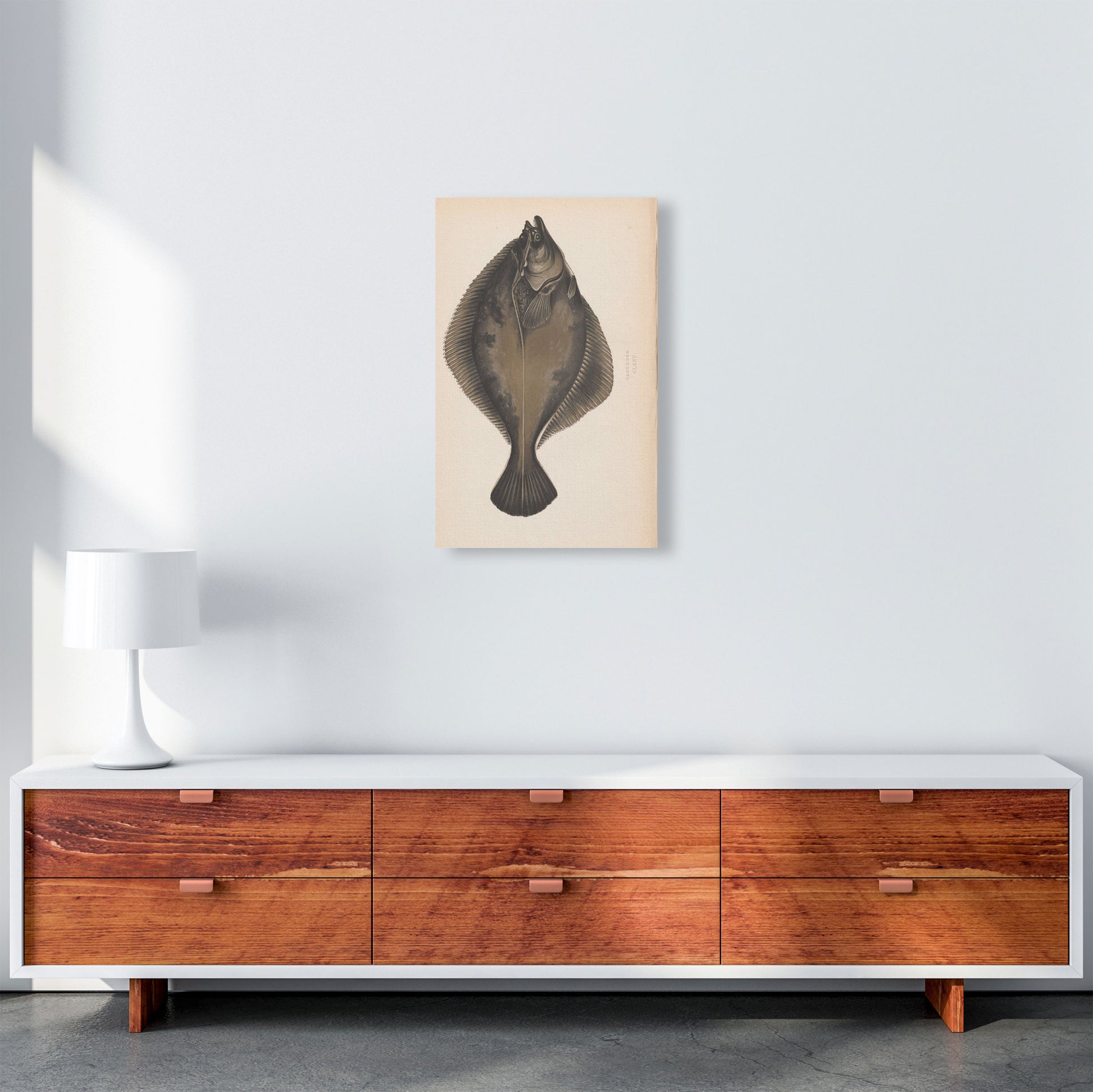 Vintage Flounder Art Print by Jason Stanley A3 Canvas