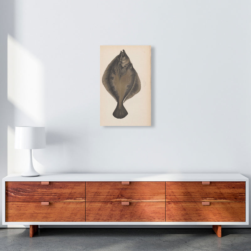 Vintage Flounder Art Print by Jason Stanley A3 Canvas