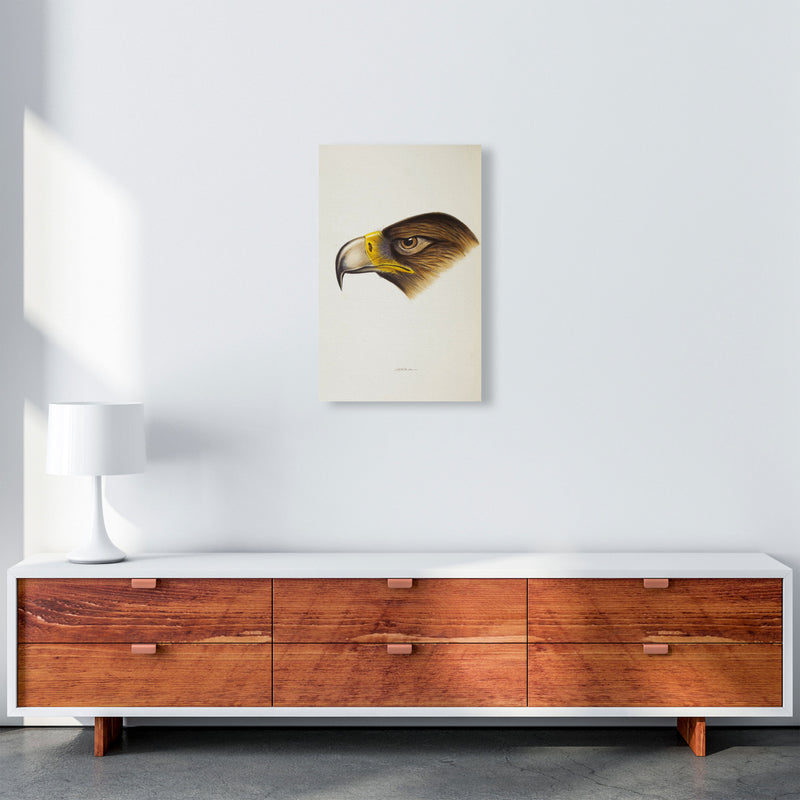 Vintage Eagle Face Art Print by Jason Stanley A3 Canvas
