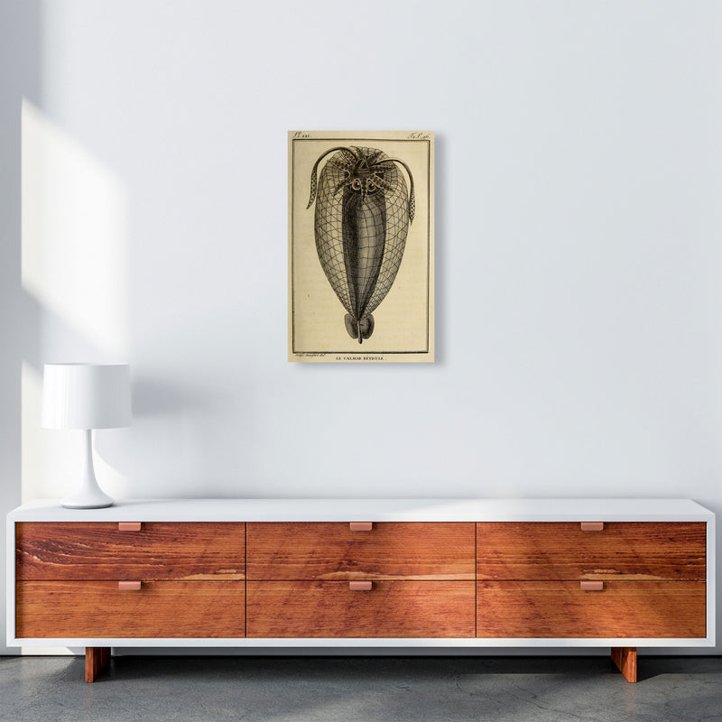 Vintage Squid 4 Art Print by Jason Stanley A3 Canvas