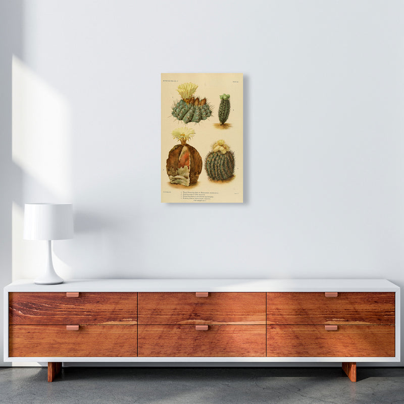 Cactus Series 16 Art Print by Jason Stanley A3 Canvas