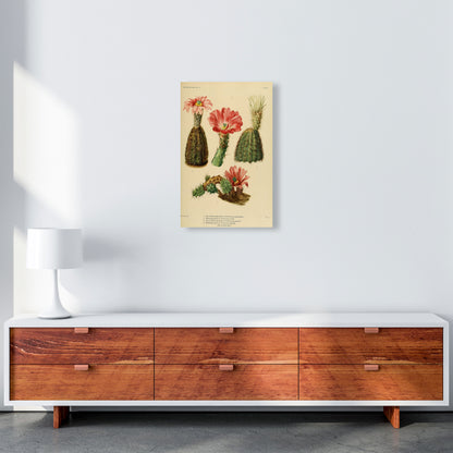 Cactus Series 2 Art Print by Jason Stanley A3 Canvas