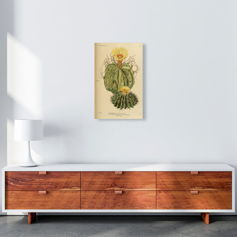 Cactus Series 15 Art Print by Jason Stanley A3 Canvas