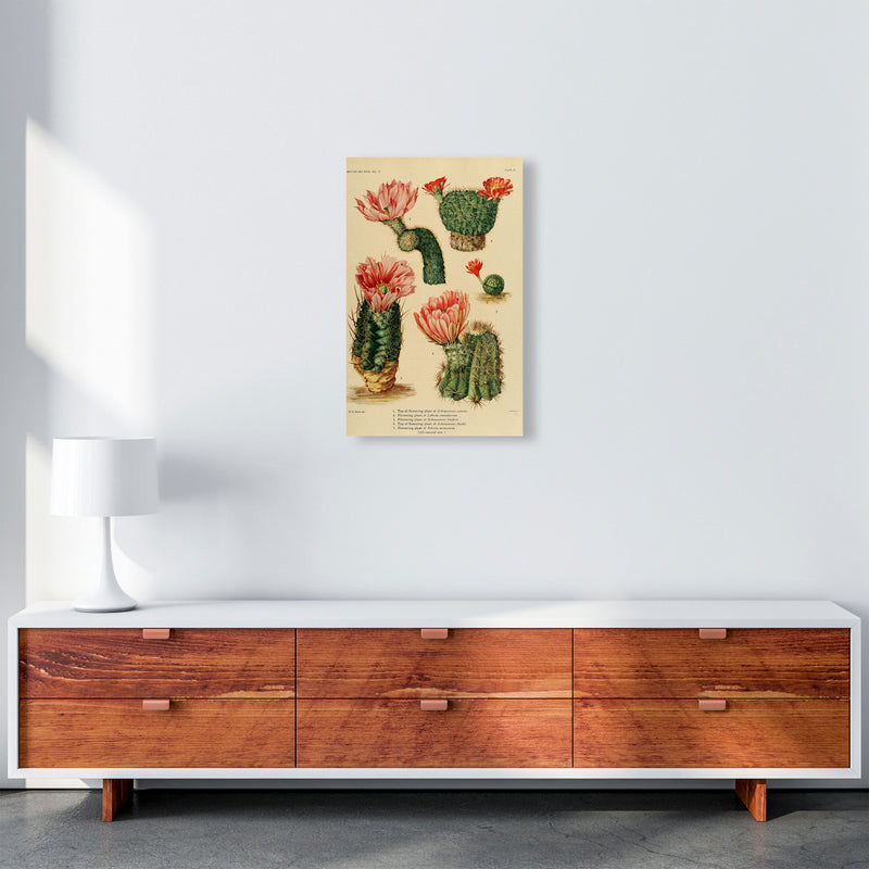 Cactus Series 3 Art Print by Jason Stanley A3 Canvas
