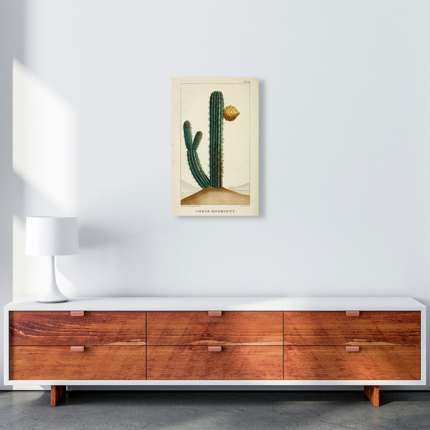 Vintage Cactus Art Print by Jason Stanley A3 Canvas