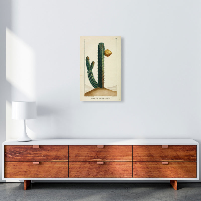 Vintage Cactus Art Print by Jason Stanley A3 Canvas