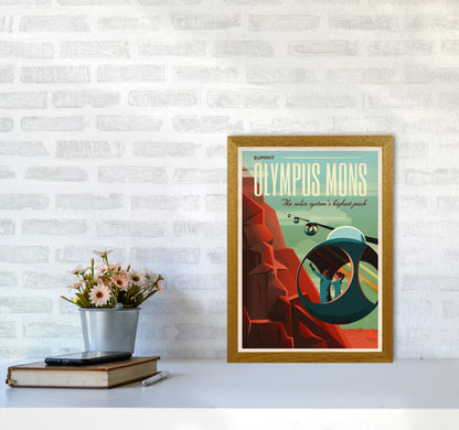 Spacex - Valles Marineris Art Print by Jason Stanley A3 Print Only