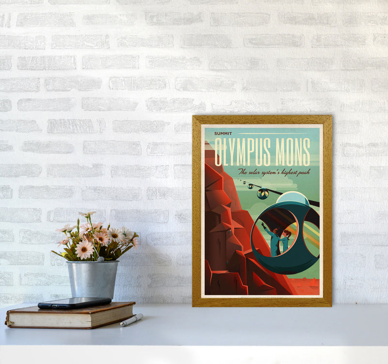 Spacex - Valles Marineris Art Print by Jason Stanley A3 Print Only