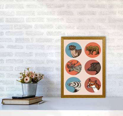 Animal Circles II Art Print by Jason Stanley A3 Print Only