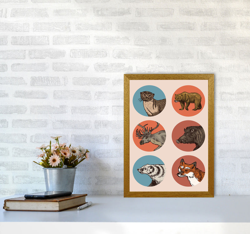 Animal Circles II Art Print by Jason Stanley A3 Print Only