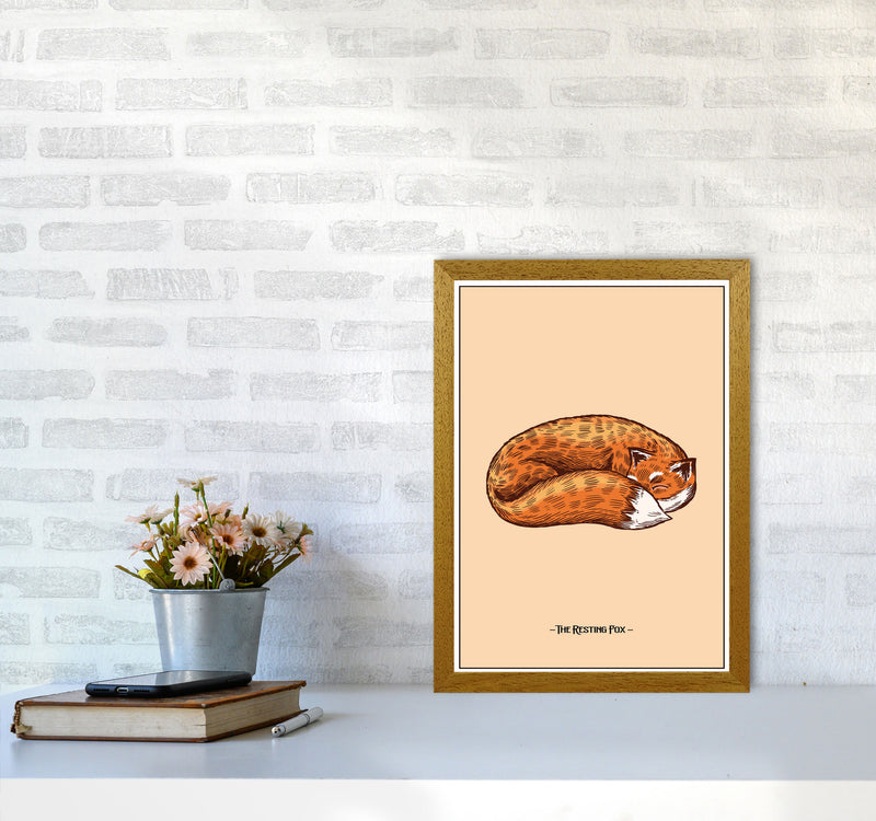 The Resting Fox Art Print by Jason Stanley A3 Print Only