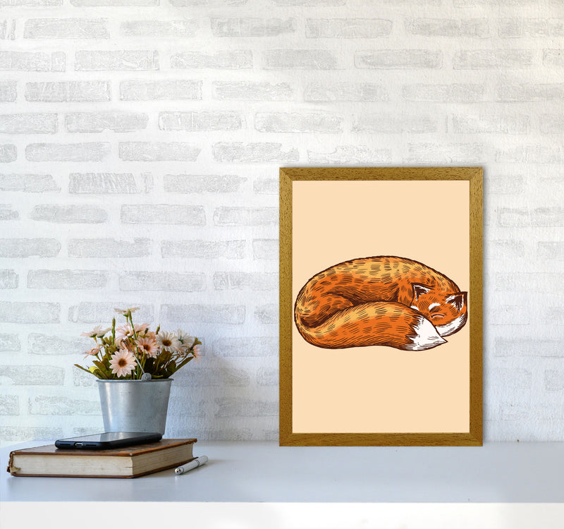The Sleeping Fox Art Print by Jason Stanley A3 Print Only