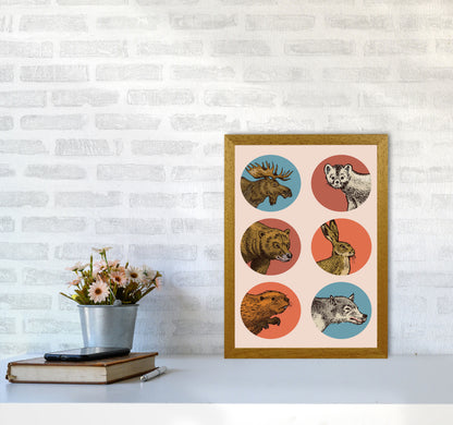 Animal Circles Art Print by Jason Stanley A3 Print Only