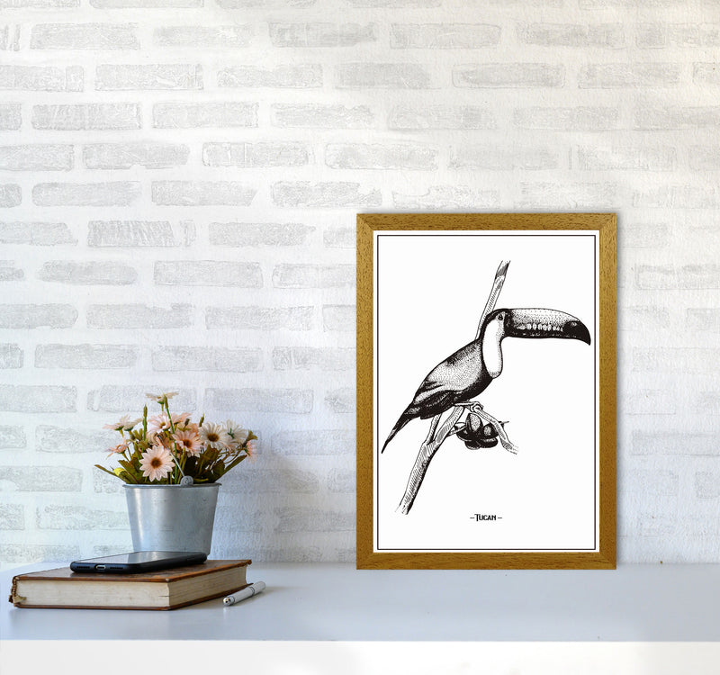 Tucan Art Print by Jason Stanley A3 Print Only
