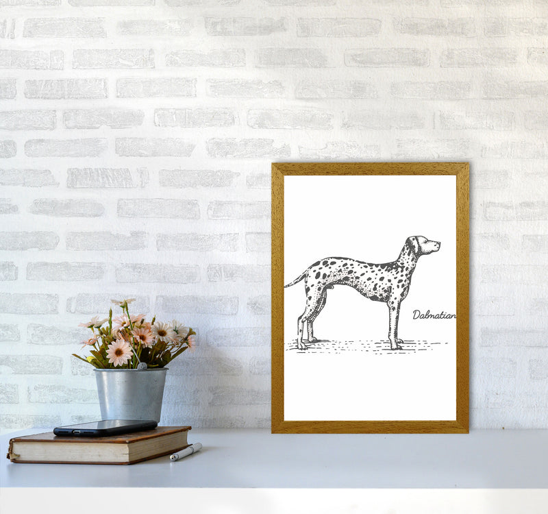 Dalmation Art Print by Jason Stanley A3 Print Only