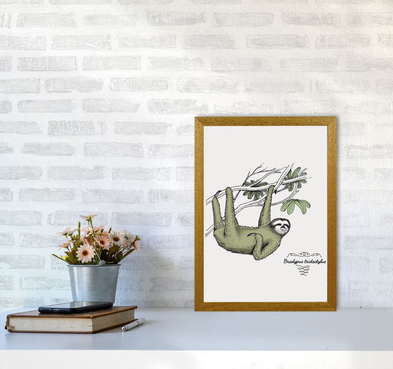 Sloth Art Print by Jason Stanley A3 Print Only