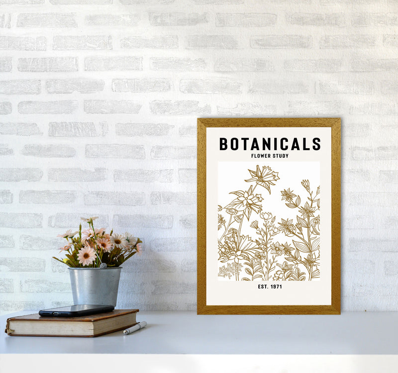 Botanicals Flower Study II Art Print by Jason Stanley A3 Print Only