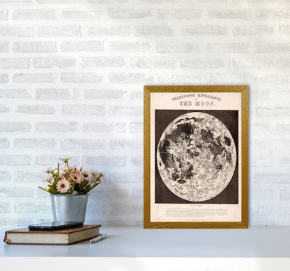 Telescopic Appearance Of The Moon Art Print by Jason Stanley A3 Print Only