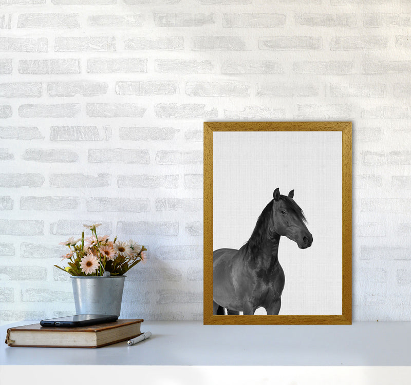 The Dark Horse Rides At Night Art Print by Jason Stanley A3 Print Only