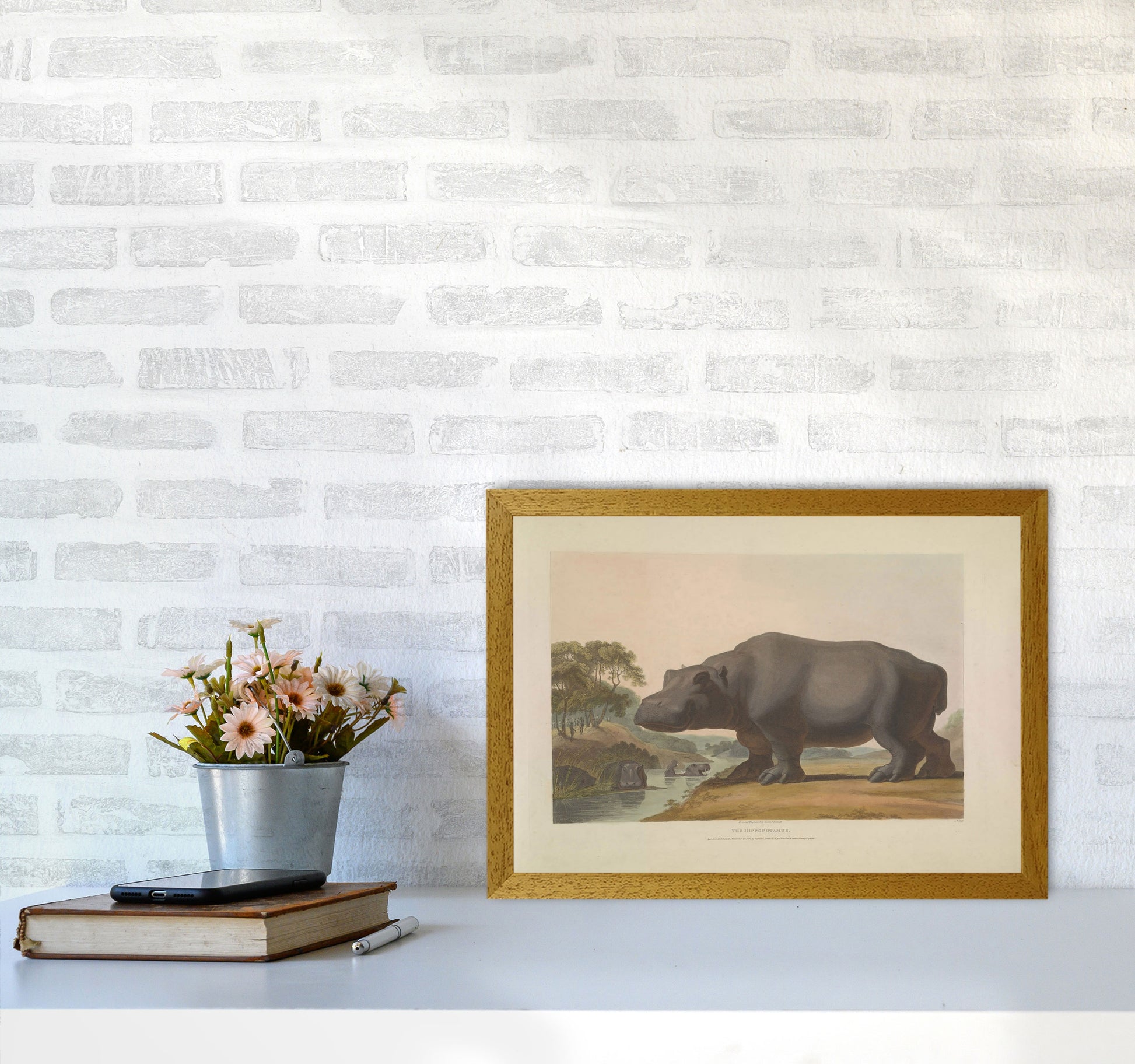 Vintage Hippo Illustration Art Print by Jason Stanley A3 Print Only